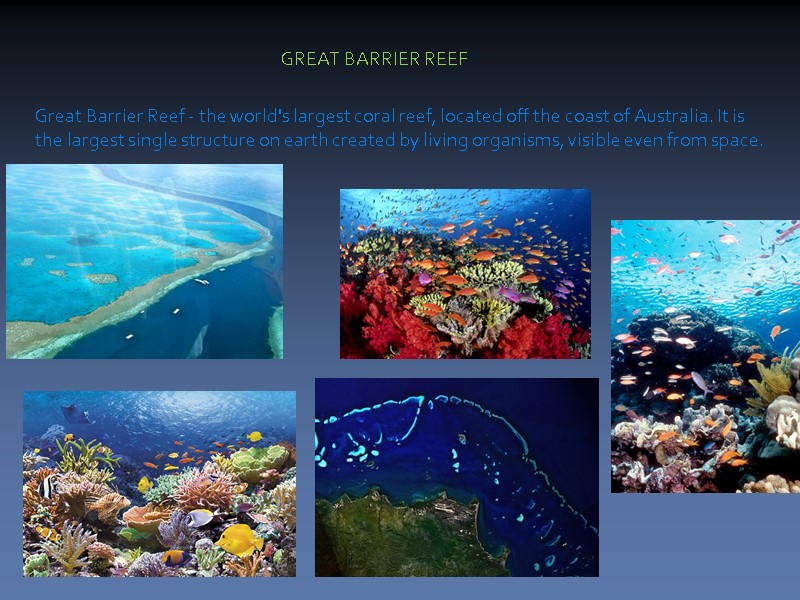 Great Barrier Reef - the world's largest coral reef, located off the coast of